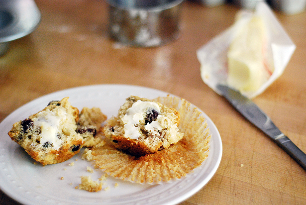 Diner Style Cranberry Walnut Muffins