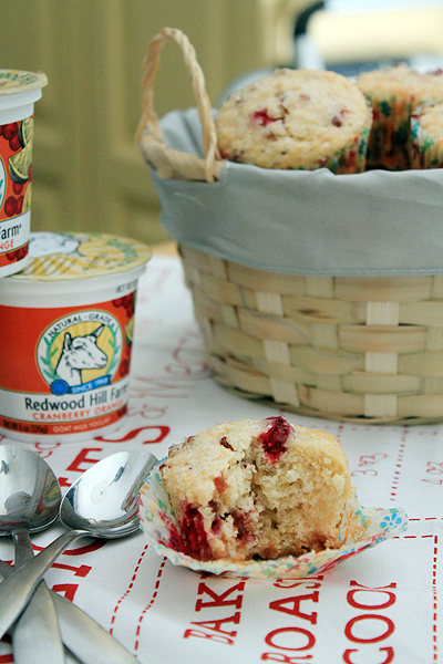Cranberry Orange Yogurt Muffins
