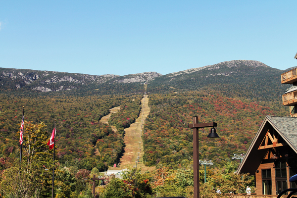 Bluebonnet Adventures: Visiting Vermont with Green Mountain Coffee