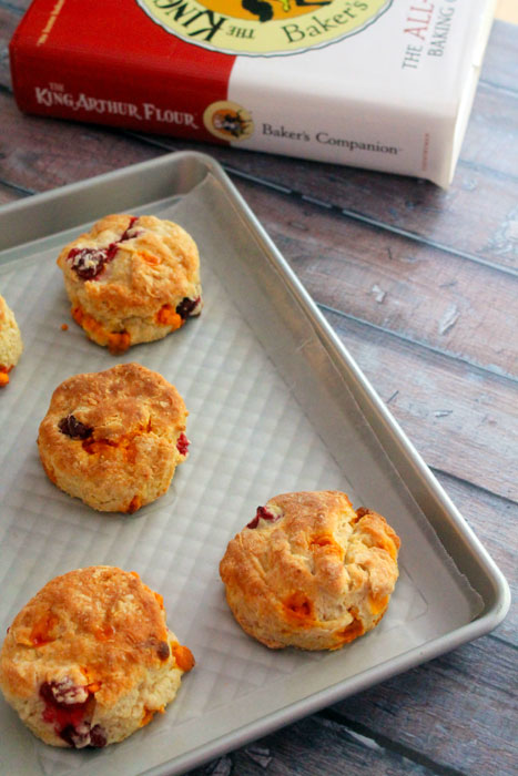 Pumpkin Spice Cranberry Scones from BluebonnetBaker.com