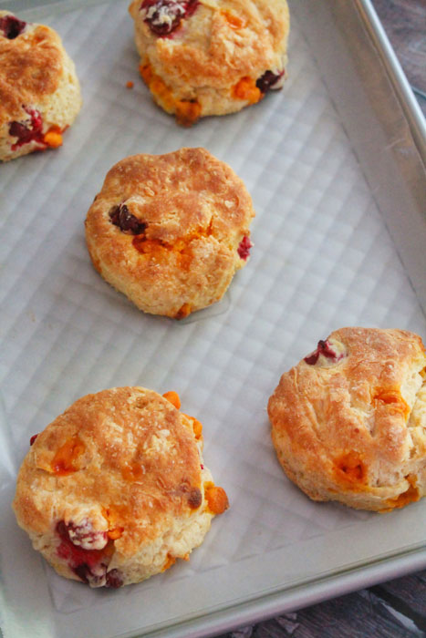 Pumpkin Spice Cranberry Scones from BluebonnetBaker.com