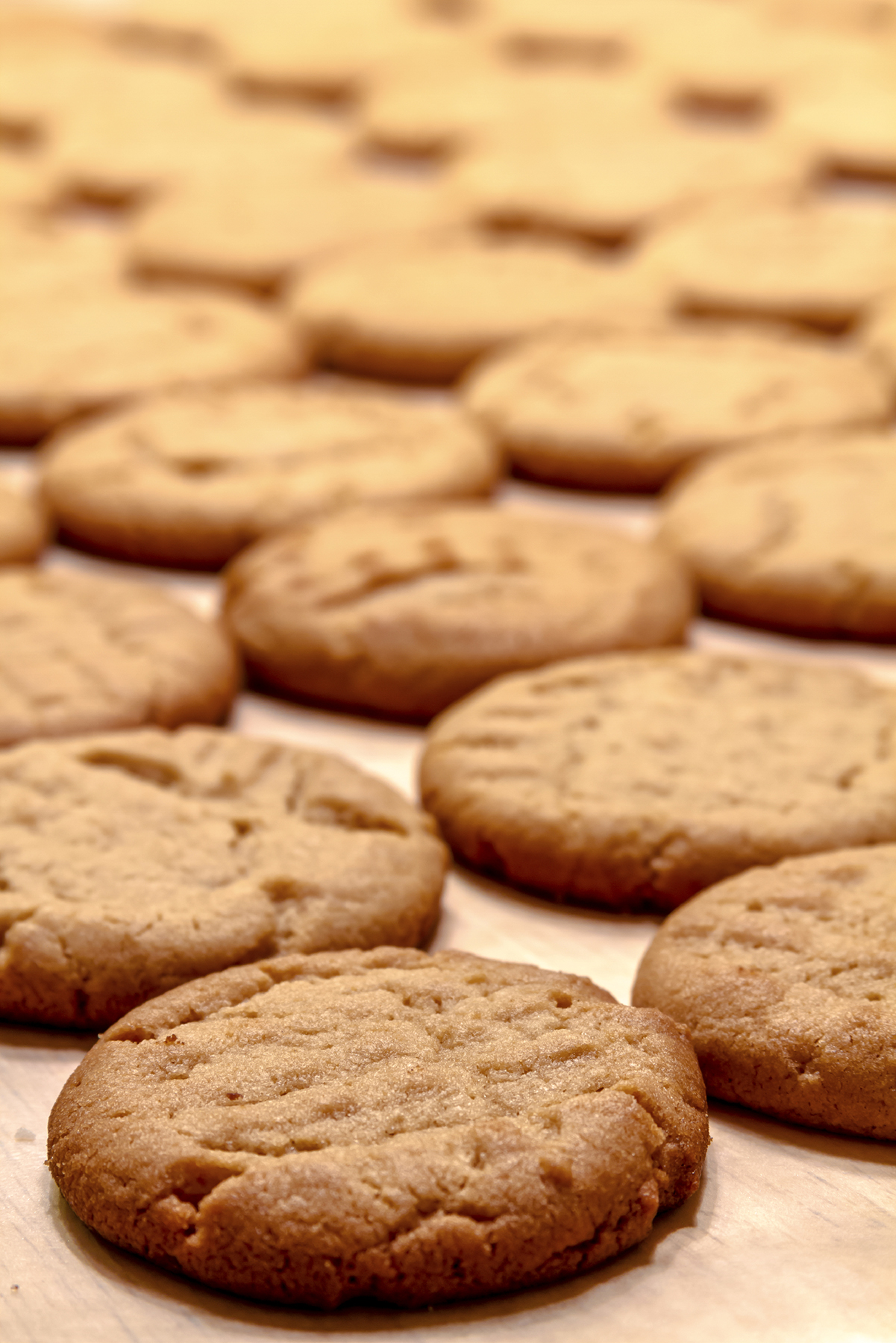 Maple Peanut Butter Cookies on BluebonnetBaker