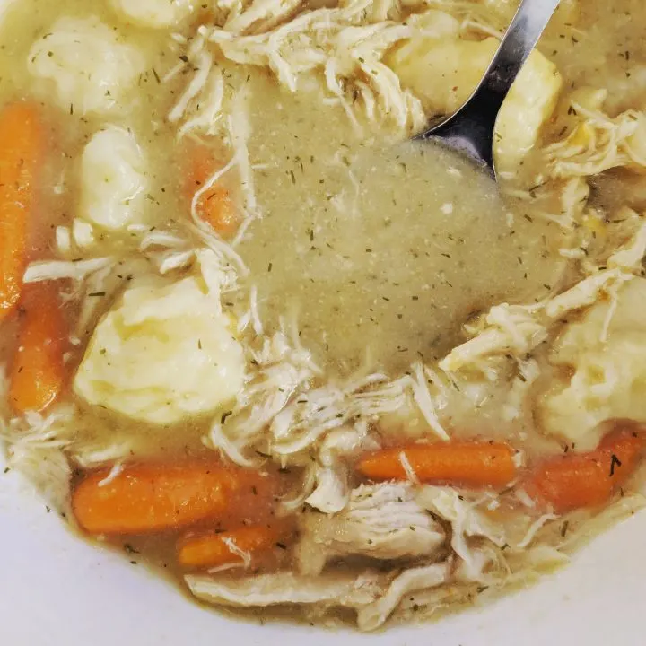 Chicken and Dumplings in a white bowl.